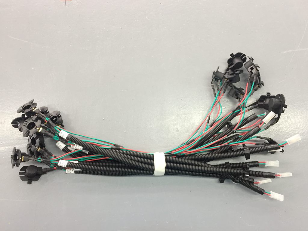 Wire Harness with Lamp Socket